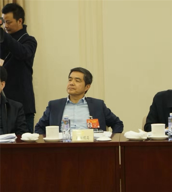 两会|欧阳明高:2030年燃料电池汽车可达100万辆