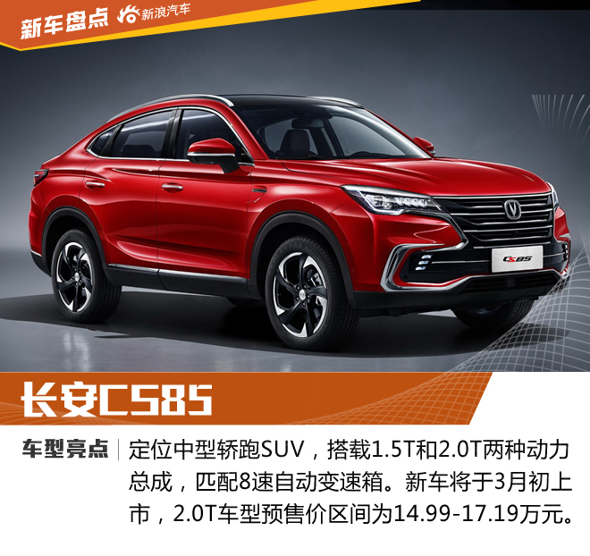 除了新能源 你还知道汽车市场流行什么吗?