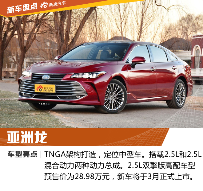 除了新能源 你还知道汽车市场流行什么吗?