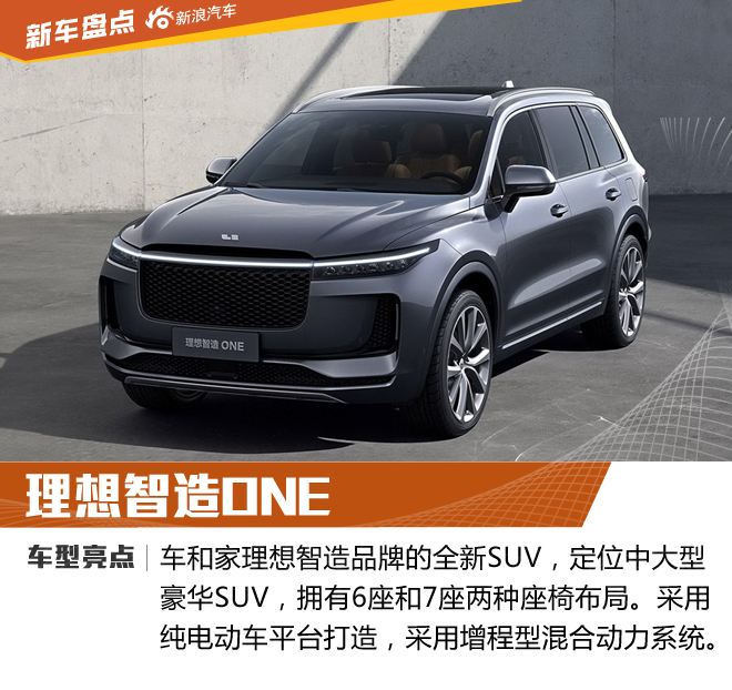 除了新能源 你还知道汽车市场流行什么吗?