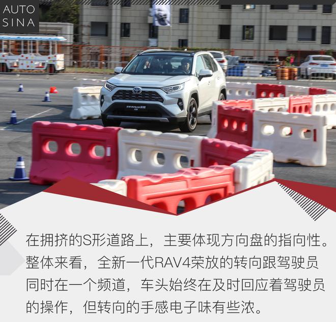 全身细胞的更新 试驾全新一代RAV4荣放