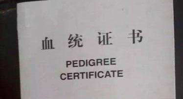 在汽车合资界 哪一方具备实际控制权?