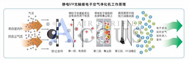 预防新型肺炎从车内做起,盘点带空气净化功能车型