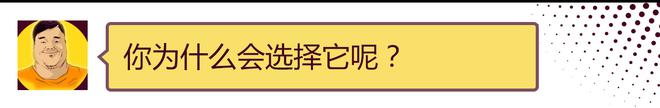 我的两个硬派朋友，到底谁更适合你！