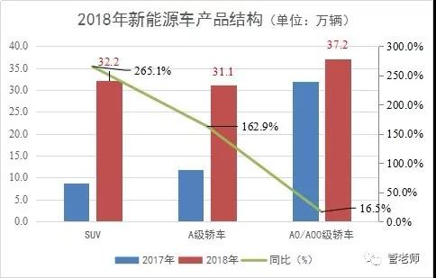 大型纯电动乘用车能否被市场广泛接受尚待检验