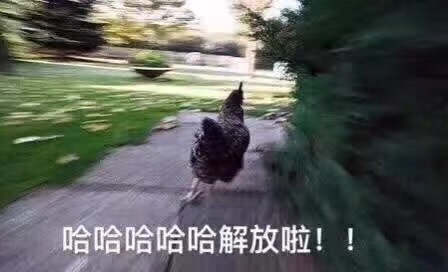 能否摆脱山寨标签 旭说最新博彩娱乐网站大全之君马汽车