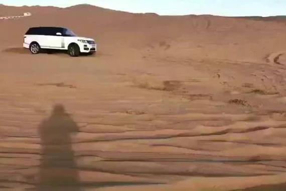 视频：谁说沙漠中的揽胜是只猫？