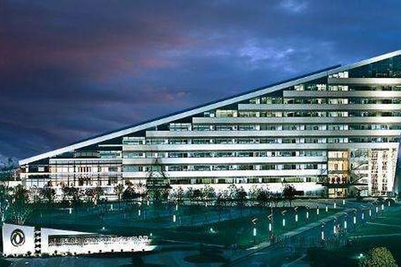 竺延风大砍非主业聚焦汽车