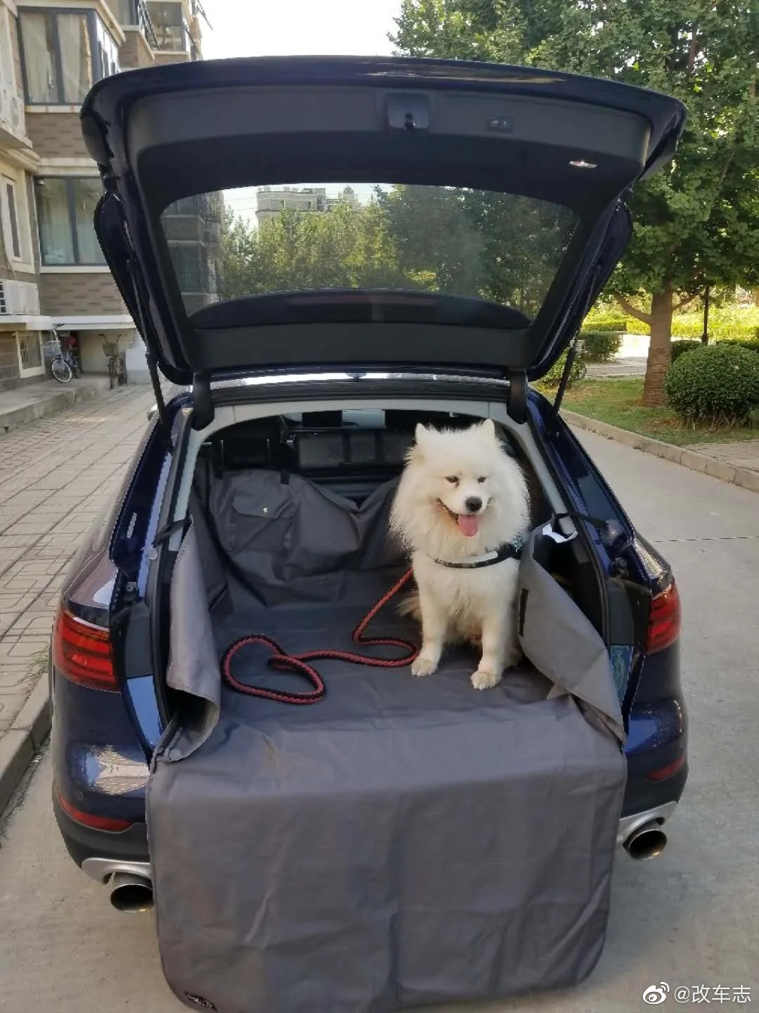 顾家奶爸打造的黑武士旅行车,奥迪A4 Allroad驾到