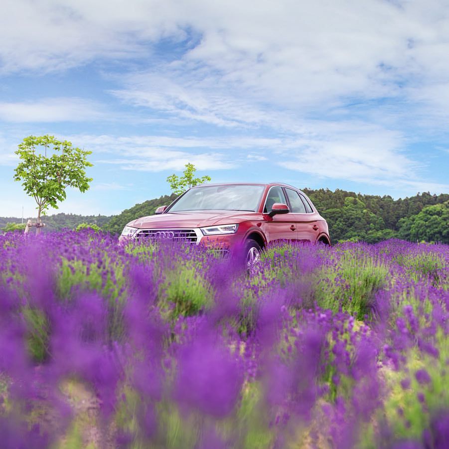 千叶县，佐仓市 奥迪Audi Q5 TDI (via.奥迪日本) 晚安