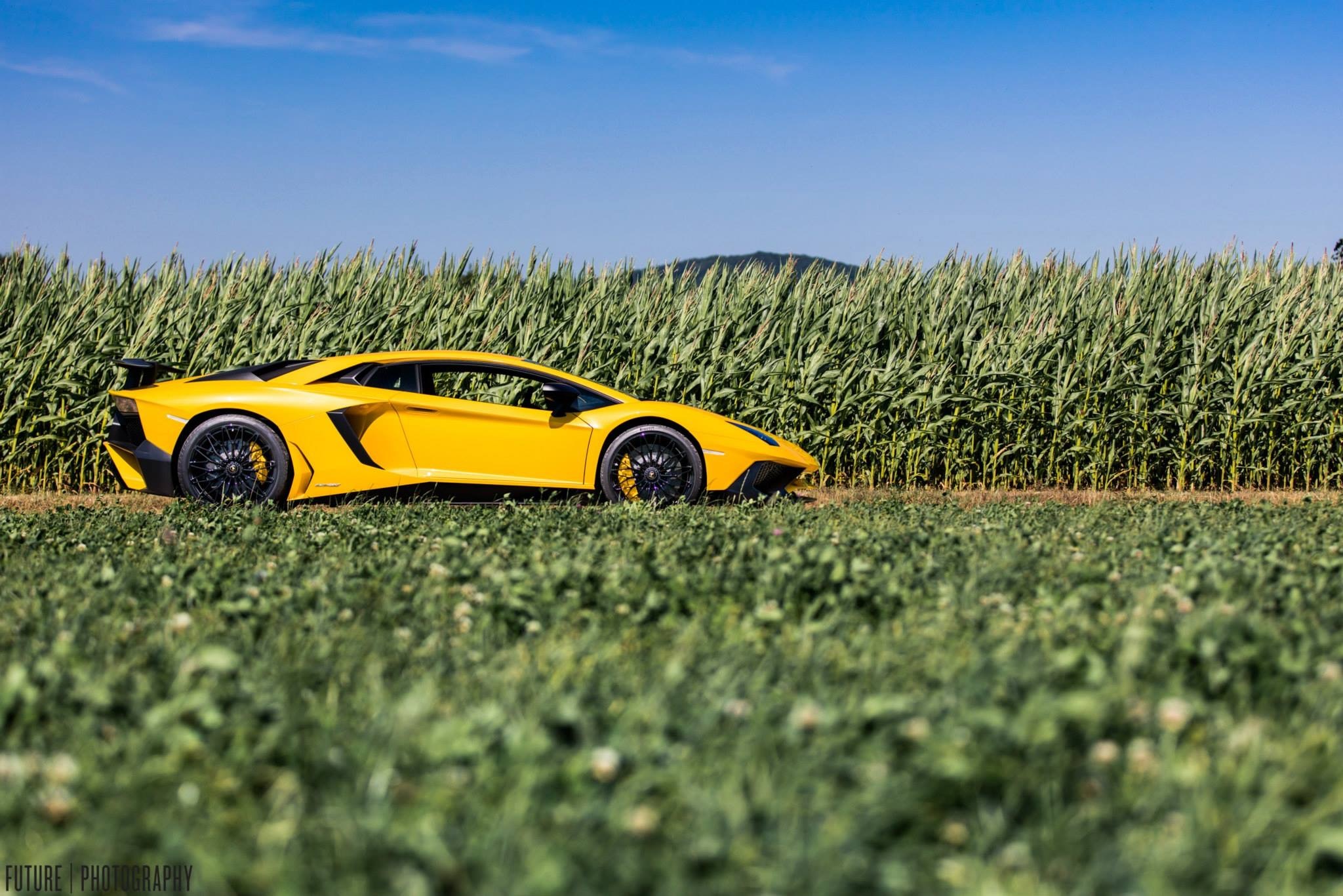 适合春游的兰博基尼Lamborghini Aventador LP 750-4 SV