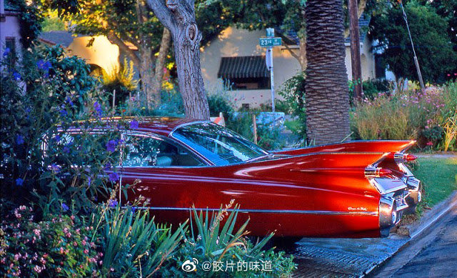 1959 年的凯迪拉克 DeVilles 系列汽车。