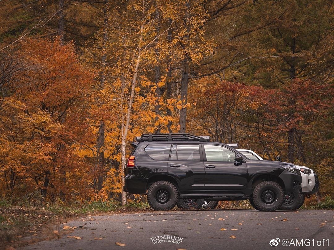 丰田霸道Prado & 超霸4Runner (by rumbuck55)