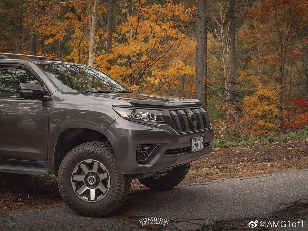 丰田霸道Prado & 超霸4Runner (by rumbuck55)