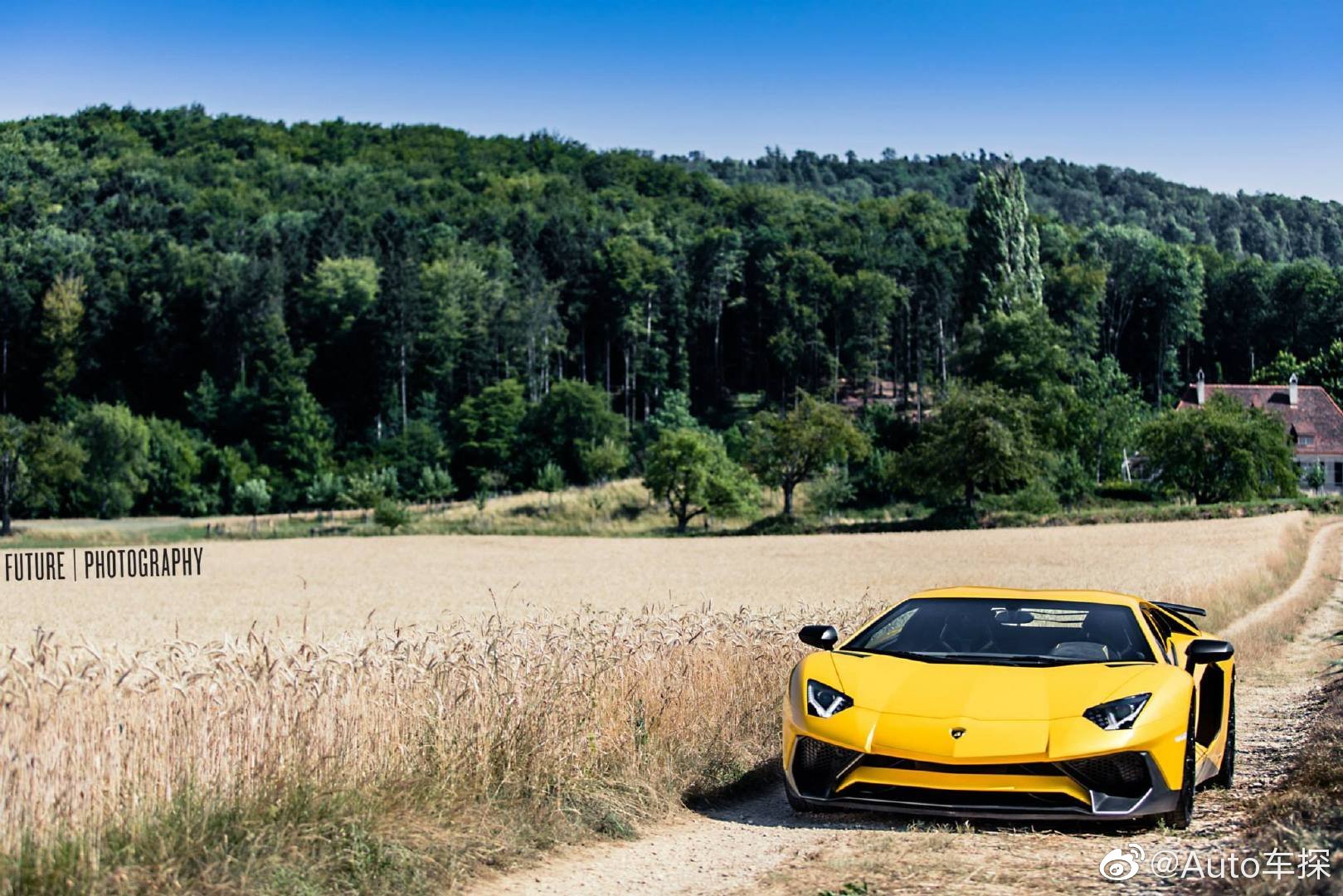 田野里的大黄牛 Lamborghini Aventador LP 750-4 SV