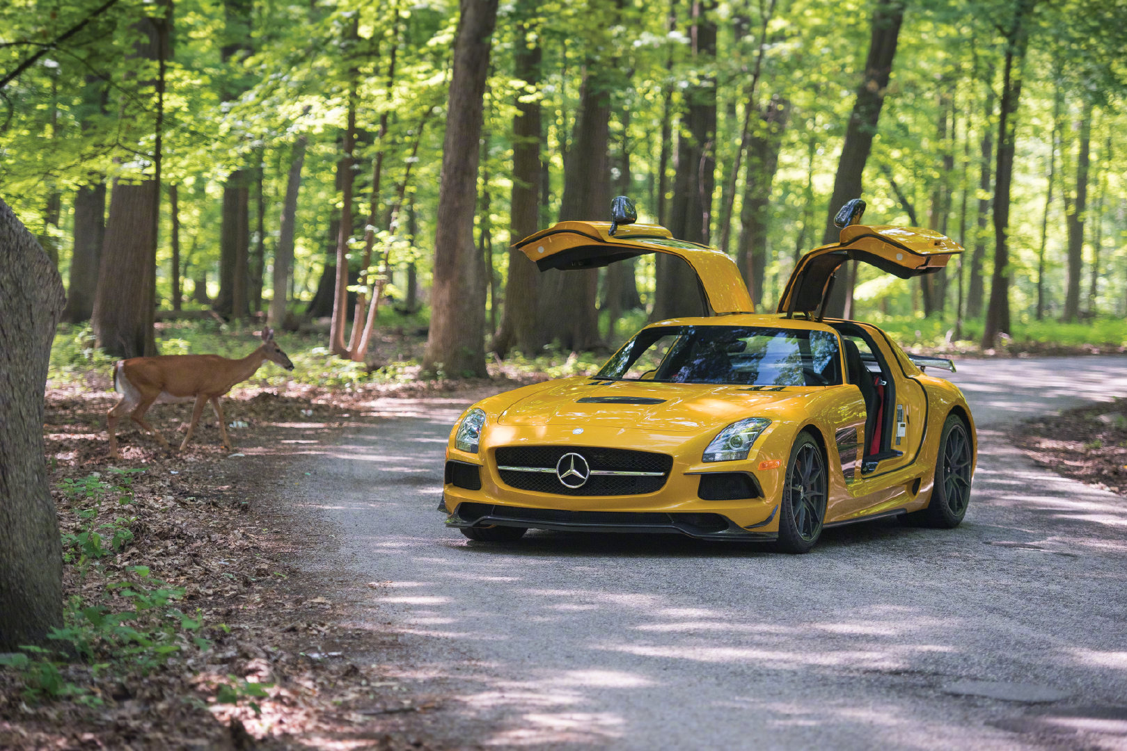 Mercedes-Benz SLS AMG Black Series  奔驰鸥翼门巅峰之作！