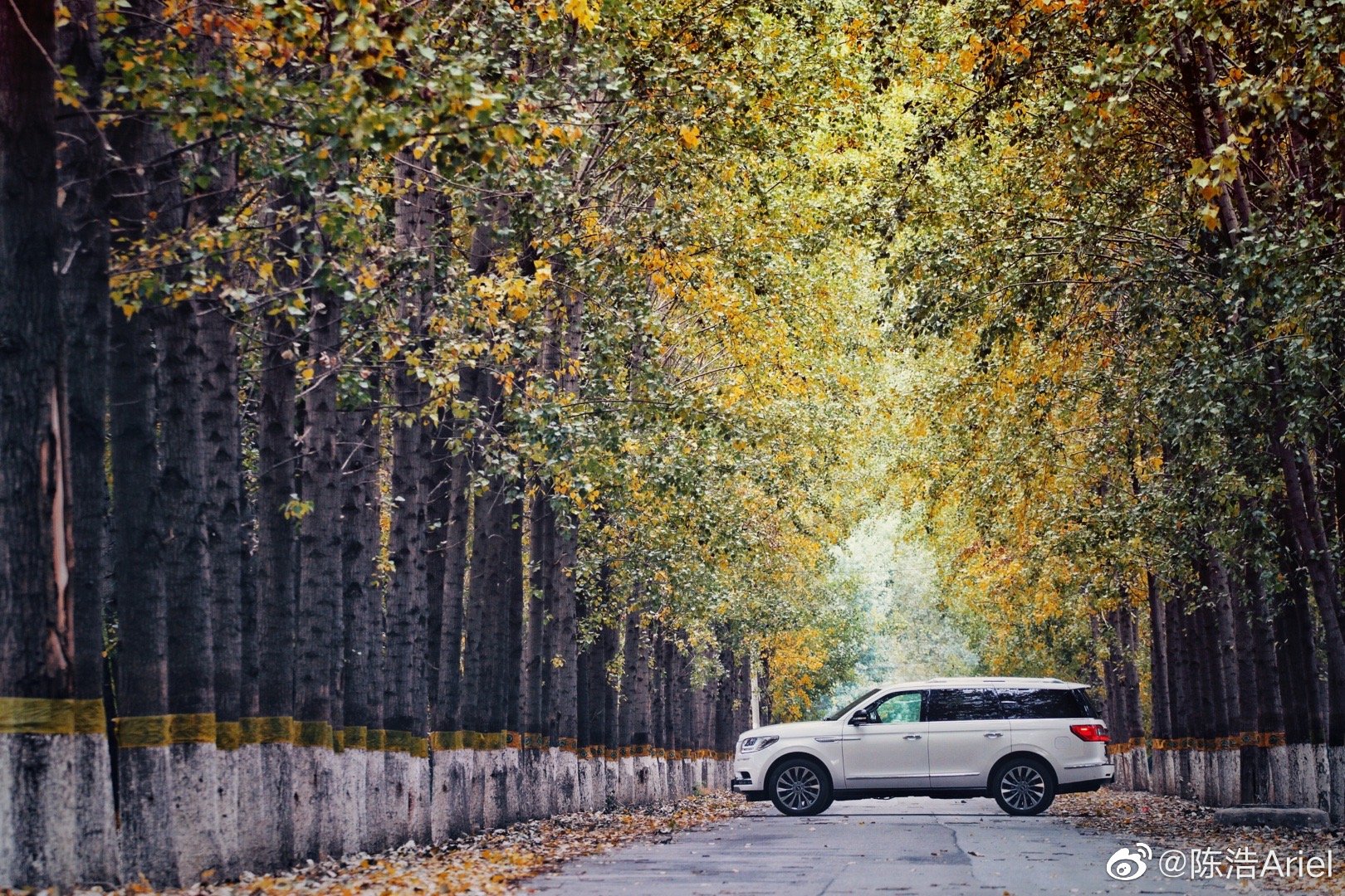 今晚林肯采用新颖的云直播方式上市发布了新车型:冒险家