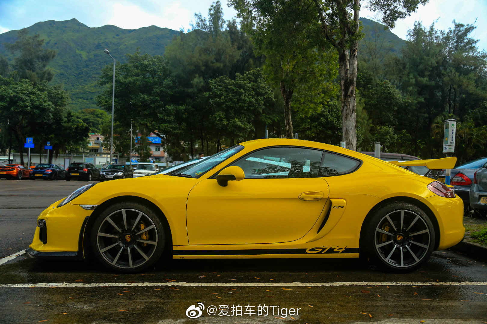 Cayman GT4S手动挡的乐趣，声音又很暴躁。