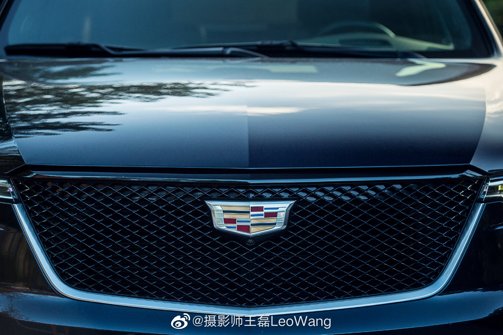 前段时间阳光正好的时候,拍摄的凯迪拉克XT6