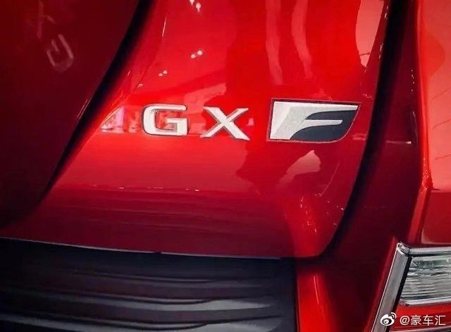 据说是雷克萨斯新款车型“GXF”