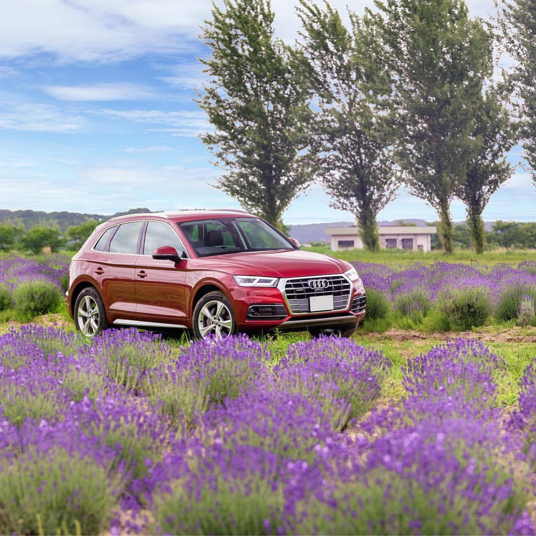 千叶县，佐仓市 奥迪Audi Q5 TDI (via.奥迪日本) 晚安