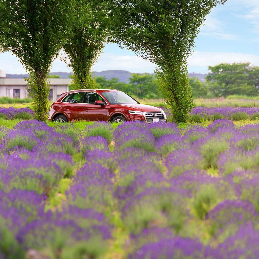 千叶县，佐仓市 奥迪Audi Q5 TDI (via.奥迪日本) 晚安