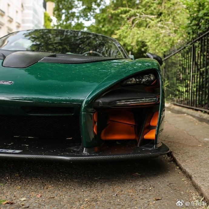 夏天和绿色的McLaren Senna 最配