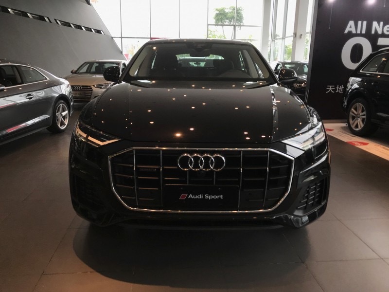 奥迪 Q8 45 TFSI 豪华致雅型 黑外/黑内