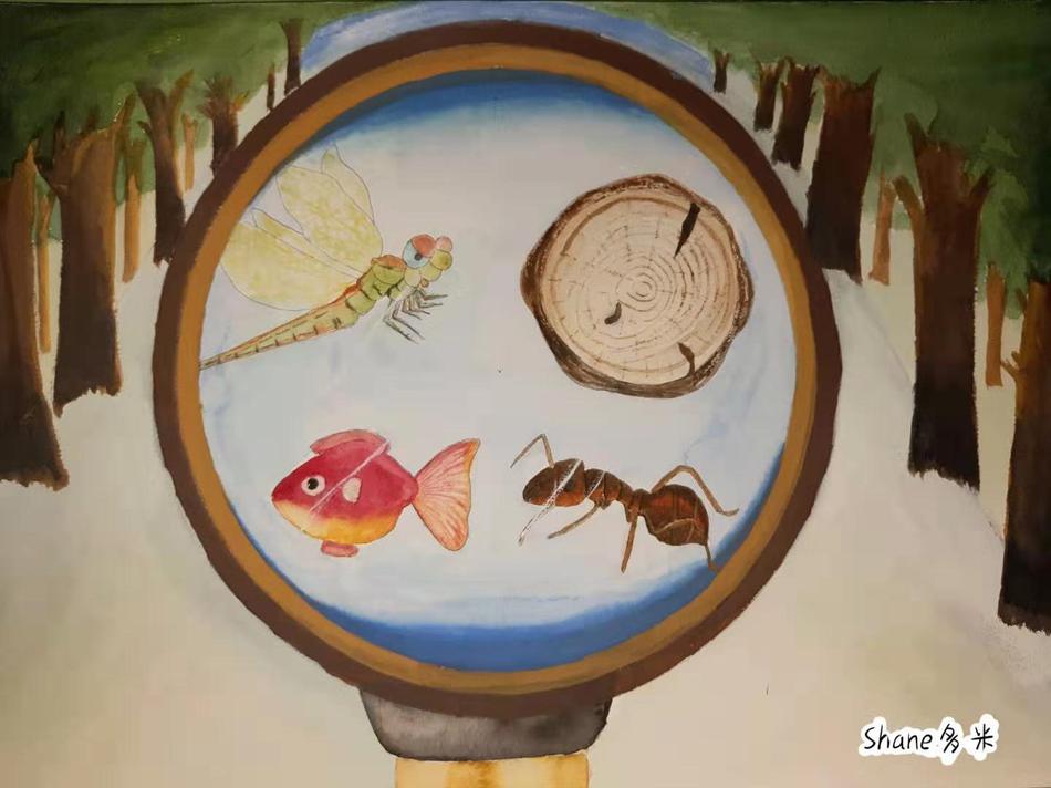 作者：shane多米。爱好是手工、演讲、画画和跳舞。拥有一家自己的手工店，画画画，跳跳舞，碰到谁都能聊上两句，成为美丽的过客，给人留下温暖。