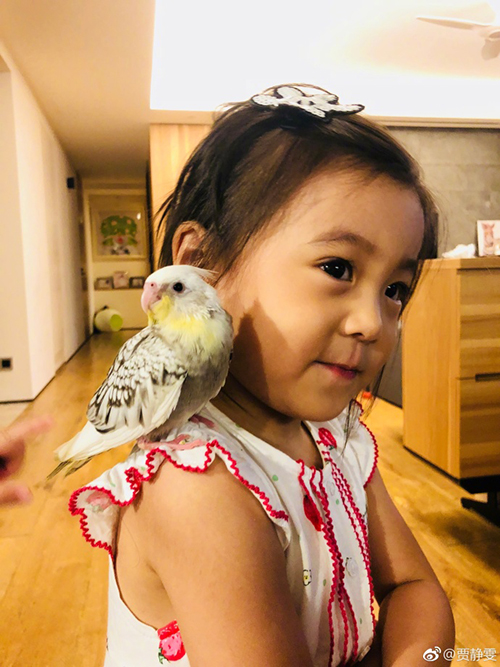 贾静雯女儿咘咘和小鸟