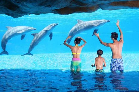 △长隆横琴湾酒店海豚池