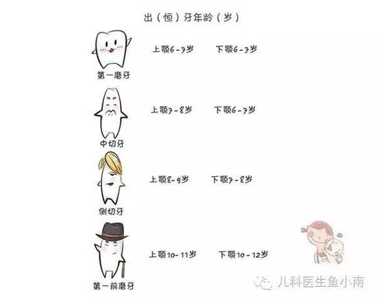 宝宝牙齿发育的小秘密|乳牙|牙齿|发育