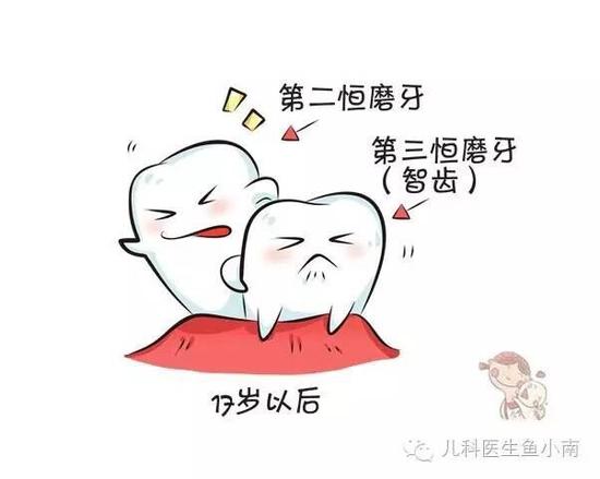 宝宝牙齿发育的小秘密 |乳牙|牙齿|宝宝