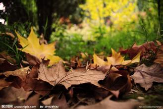生活在法国的中国女人
