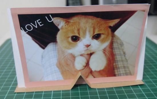 【爱丽丝手工书做法:3D纸画书】