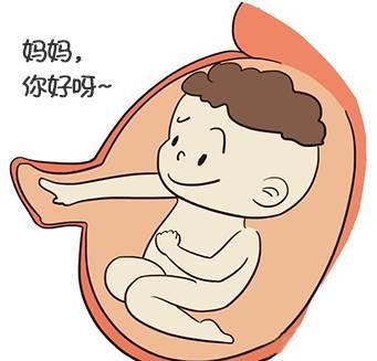 其实胎动现象早就产生了，据研究，胎宝宝在妊娠8周以后就已经开始动了。