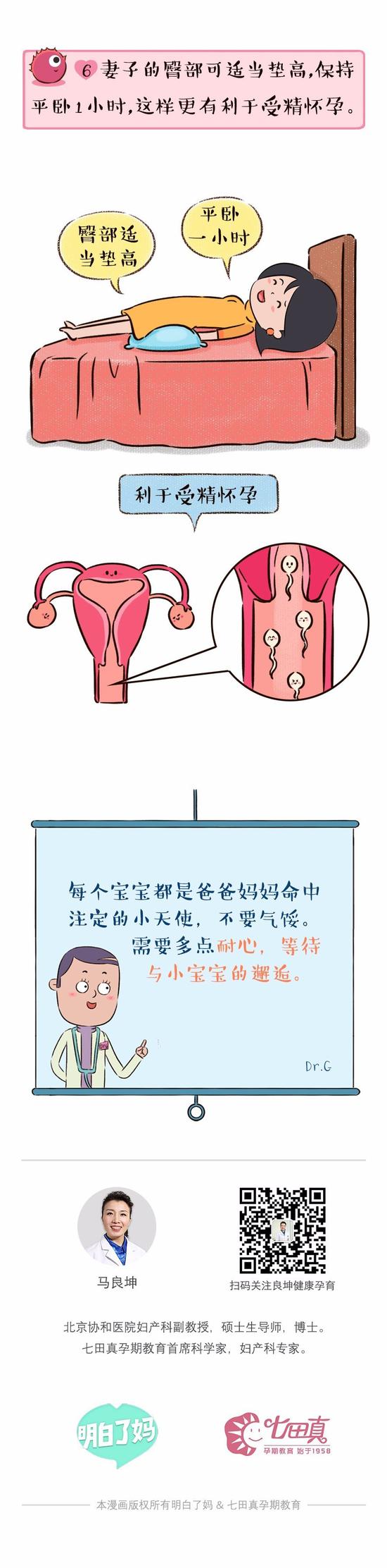 怀孕|造人|排卵_新浪育儿