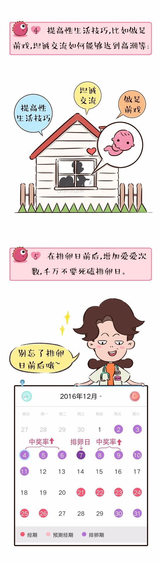 怀孕|造人|排卵_新浪育儿