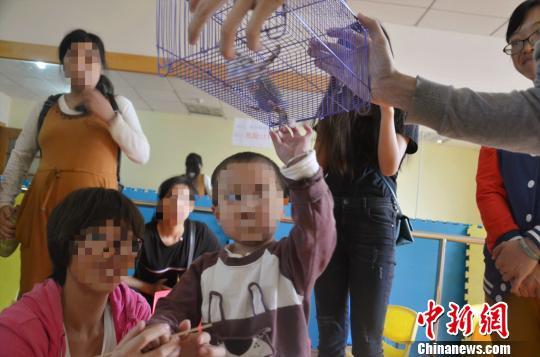 图为小同伙近距离接触鹦鹉。 钟欣 摄