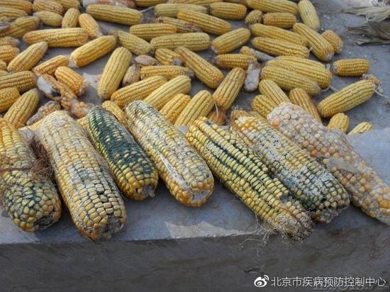 一、 真菌毒素是什么?