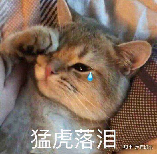 资料图