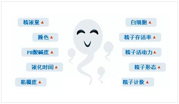 一,精液分析报告解读