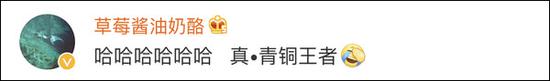 网友评论