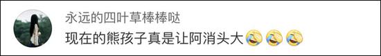 网友评论