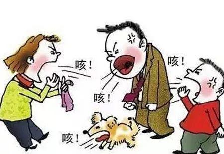 图片来源网络
