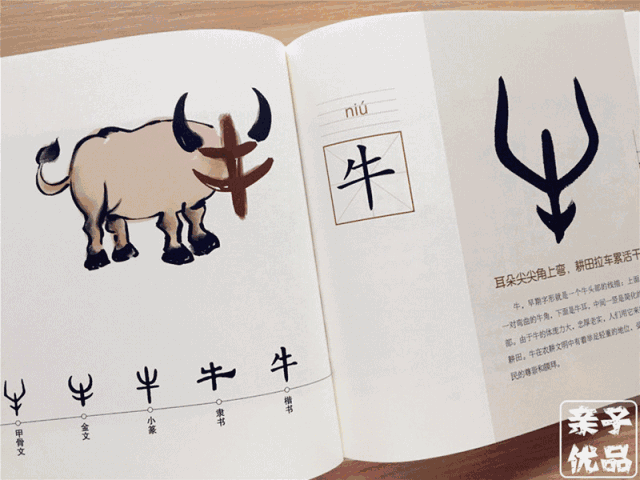 具体围绕某一个汉字,会有多达12种启蒙方法,这里我挑重点给大家展示下: