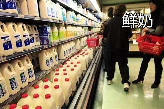 鲜奶(巴氏奶)一般需冷藏