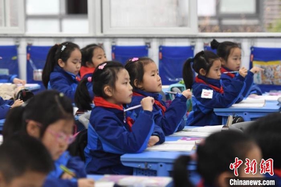 资料图:杭州一小学学生正在上课。 王刚 摄