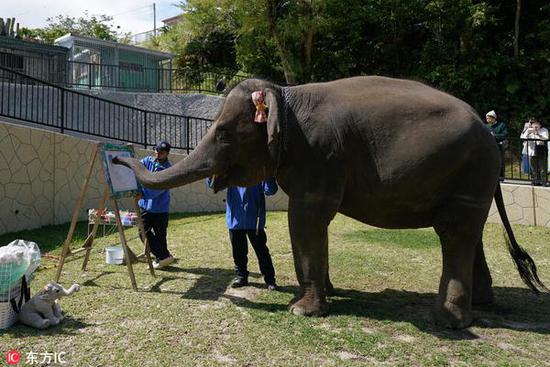 日本大象靠卖画给娃赚奶粉钱