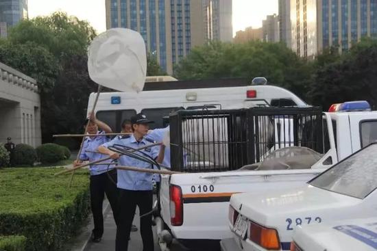 视频截图